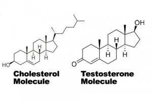 fats-hormone-production-role_a